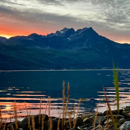 Norwegian Dream Daire Gratangen Dış mekan fotoğraf
