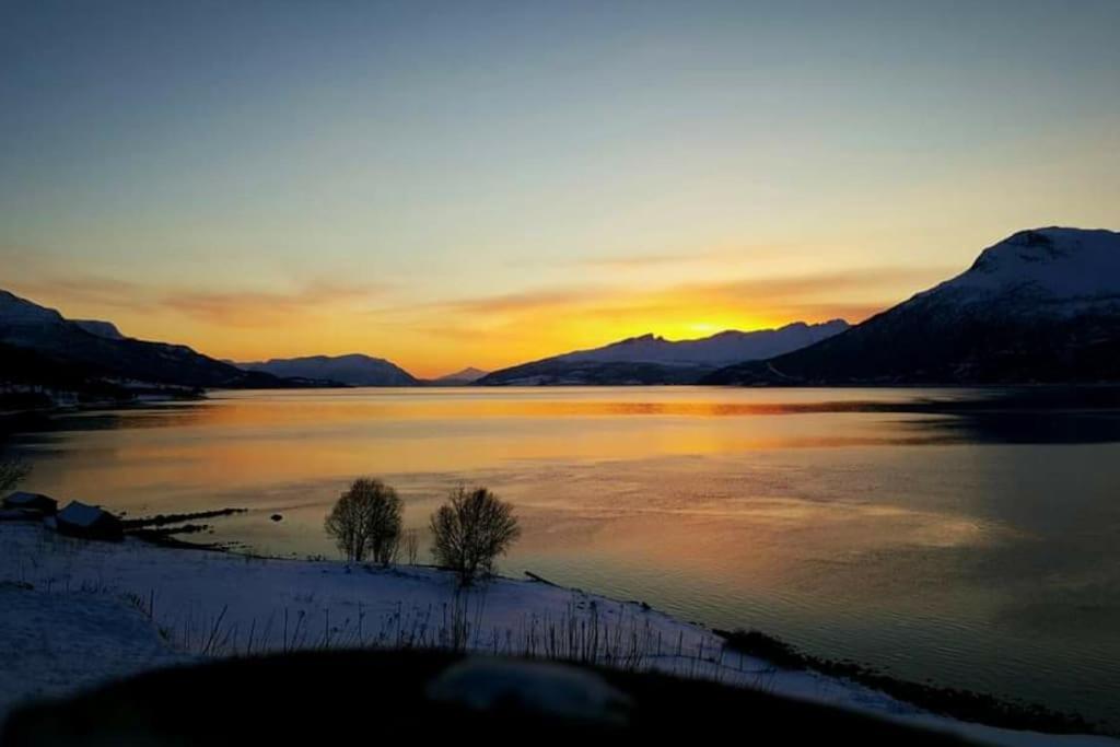 Norwegian Dream Daire Gratangen Dış mekan fotoğraf