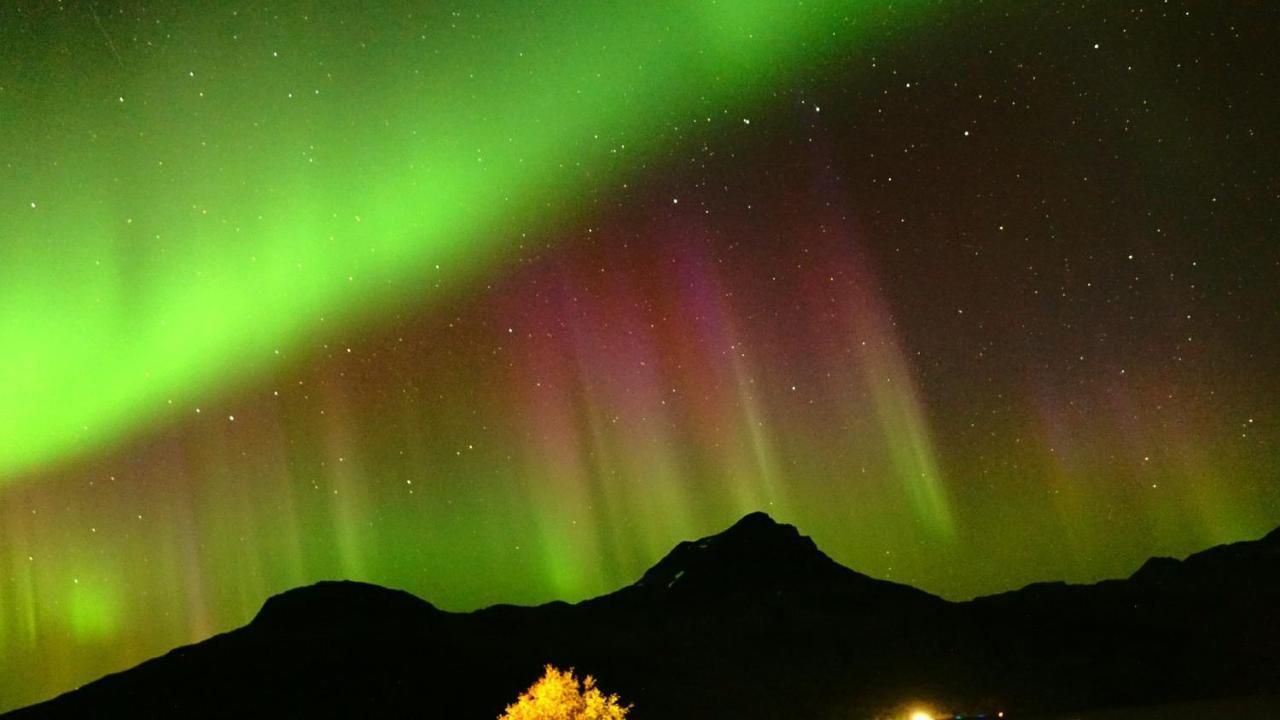 Norwegian Dream Daire Gratangen Dış mekan fotoğraf