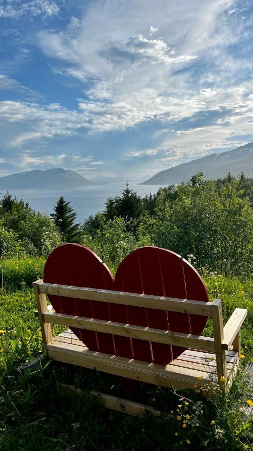 Norwegian Dream Daire Gratangen Dış mekan fotoğraf