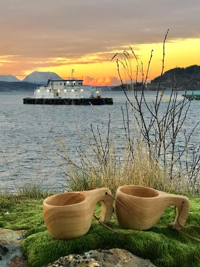 Norwegian Dream Daire Gratangen Dış mekan fotoğraf