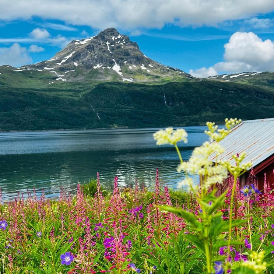 Norwegian Dream Daire Gratangen Dış mekan fotoğraf