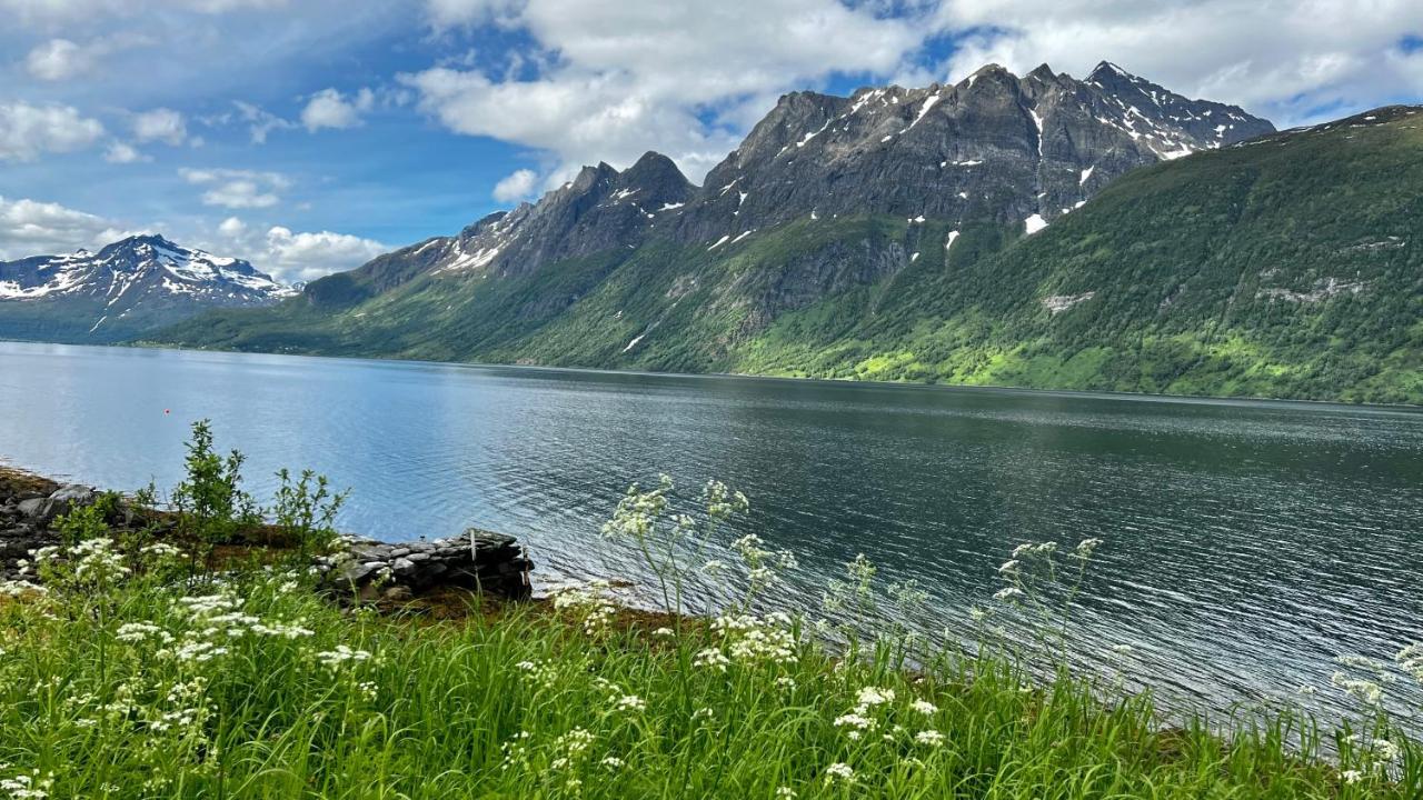 Norwegian Dream Daire Gratangen Dış mekan fotoğraf
