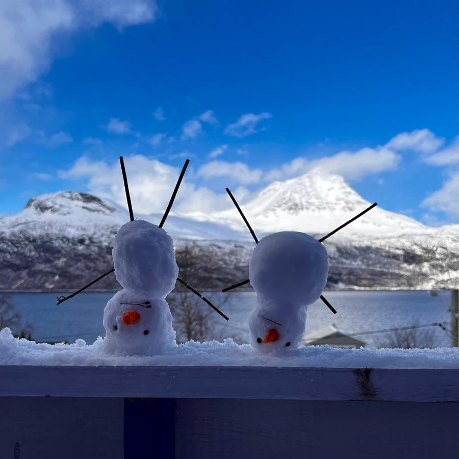 Norwegian Dream Daire Gratangen Dış mekan fotoğraf