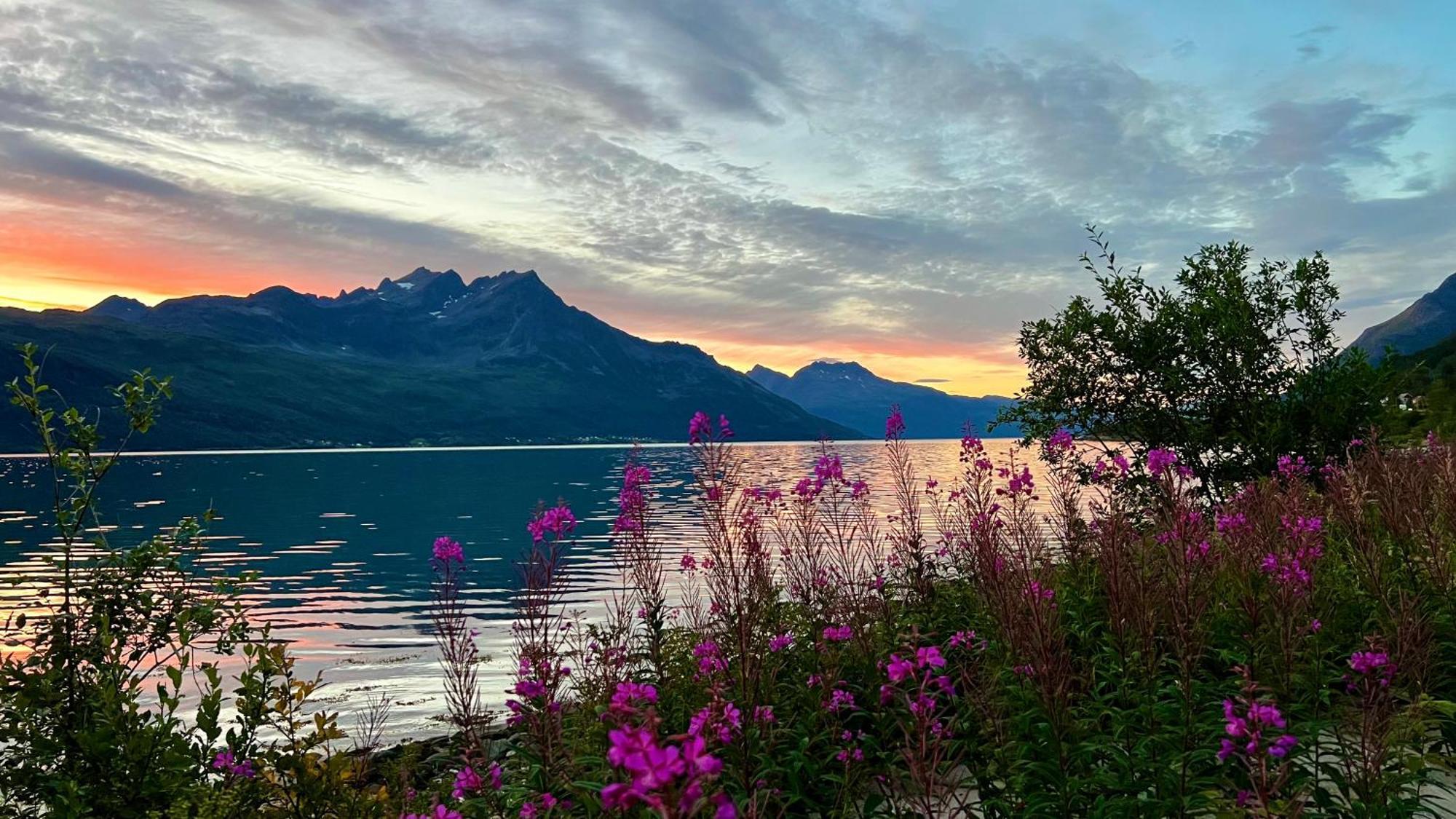 Norwegian Dream Daire Gratangen Dış mekan fotoğraf